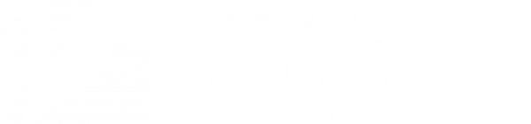 logo-zooming-in
